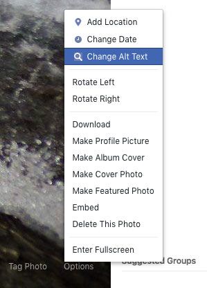 Screenshot of the Facebook UI showing where to find and edit alt text. Click "Options" > "Change Alt Text".